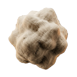 Компонент #1