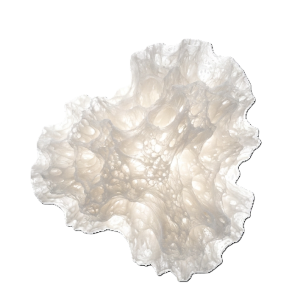 Компонент #1